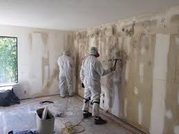 Trusted Mays Landing, NJ Mold Removal Experts